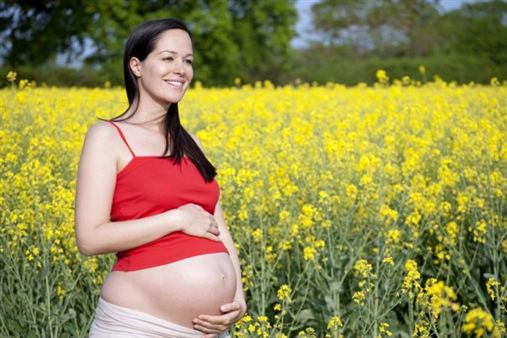 Saúde bucal durante a gravidez